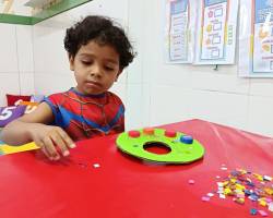 SOCIAL FOLIA JUNIOR - 2026