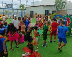 SOCIAL FOLIA JUNIOR - 2026