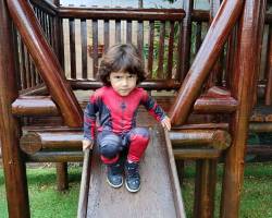 SOCIAL FOLIA JUNIOR - 2026