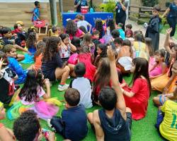 SOCIAL FOLIA JUNIOR - 2026