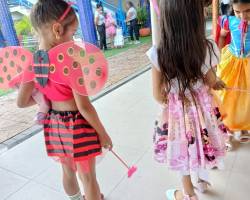 SOCIAL FOLIA JUNIOR - 2026