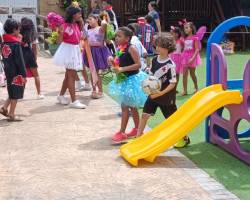 SOCIAL FOLIA JUNIOR - 2026
