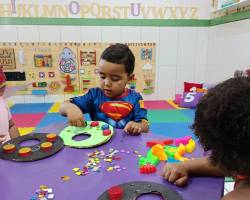 SOCIAL FOLIA JUNIOR - 2026