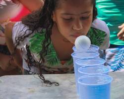 Escola Natureza 2019 - Social Júnior