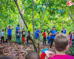 Escola Natureza 2019 - Social Júnior