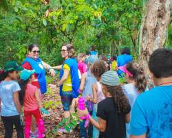 Escola Natureza 2019 - Social Júnior