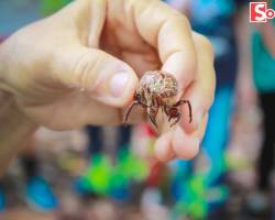 Escola Natureza 2019 - Social Júnior