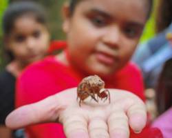 Escola Natureza 2019 - Social Júnior