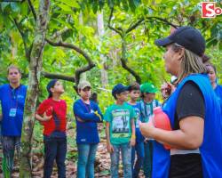 Escola Natureza 2019 - Social Júnior