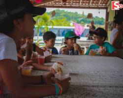 Escola Natureza 2019 - Social Júnior