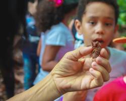 Escola Natureza 2019 - Social Júnior